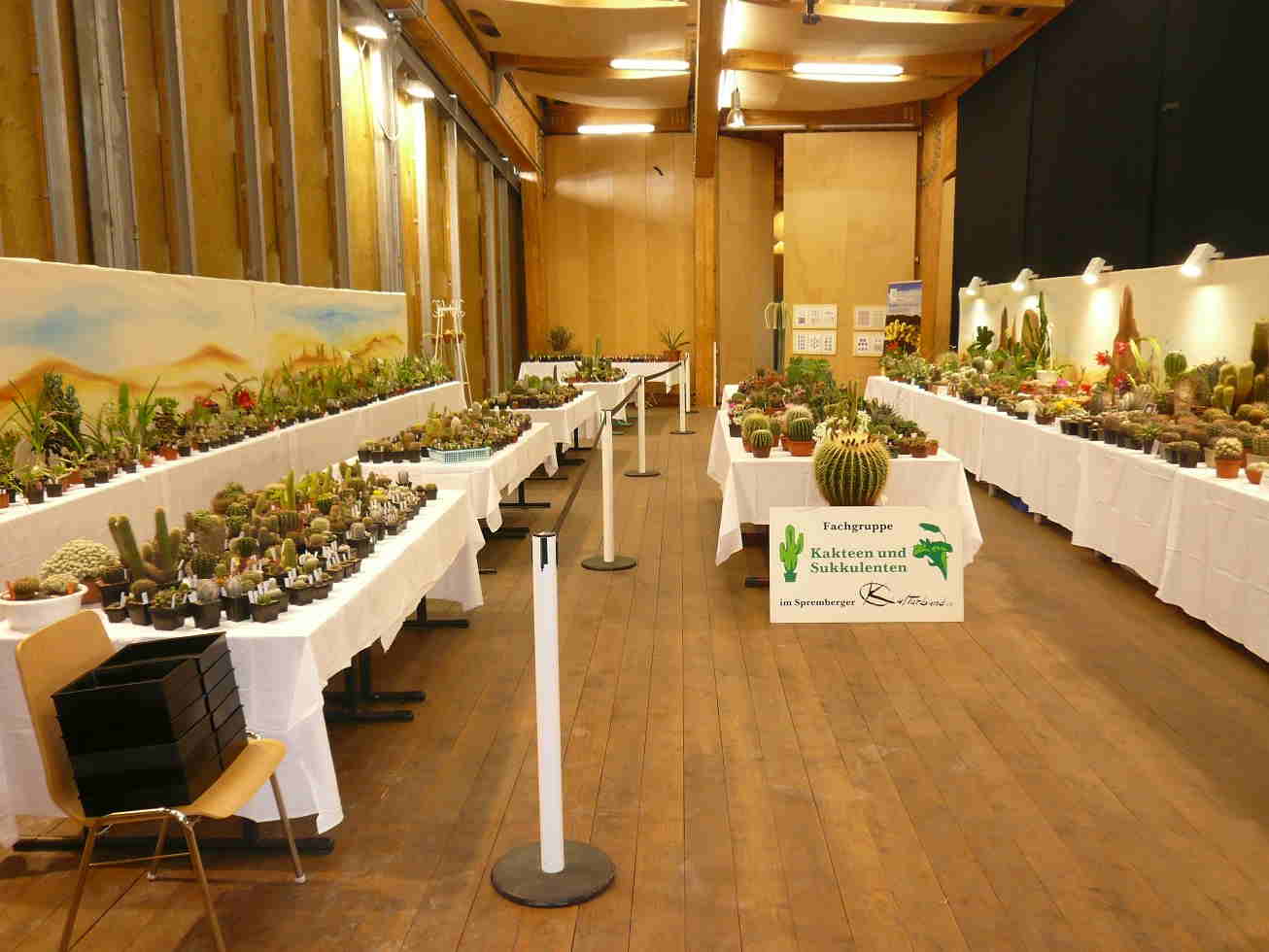 44. Kakteenausstellung – Freilichtbühne Spremberg