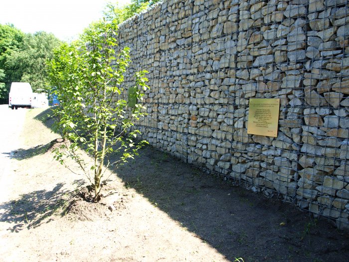 Allgemeines zur Freilichtbühne – Bild 3