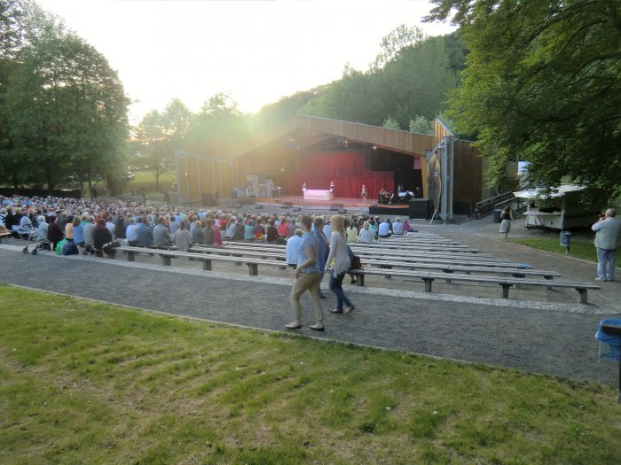 "My Fair Lady" 2013 – Bild 9