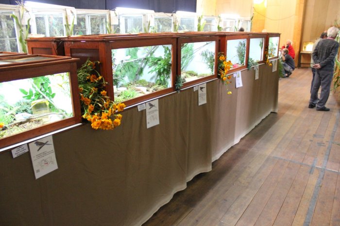 Vogelausstellung - Vögel ferner Länder – Bild 11
