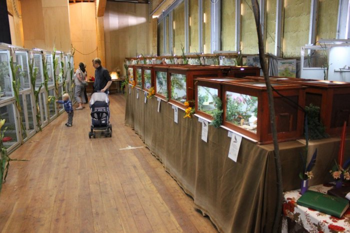 Vogelausstellung - Vögel ferner Länder – Bild 12