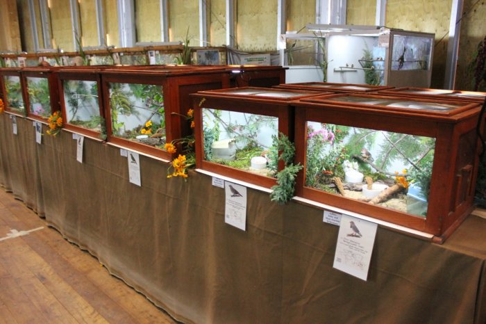 Vogelausstellung - Vögel ferner Länder – Bild 13