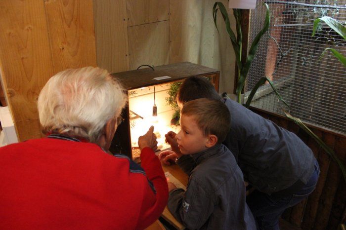 Vogelausstellung - Vögel ferner Länder – Bild 15