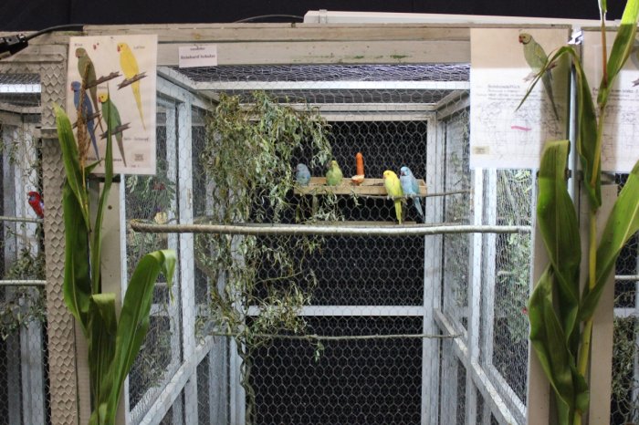 Vogelausstellung - Vögel ferner Länder – Bild 16