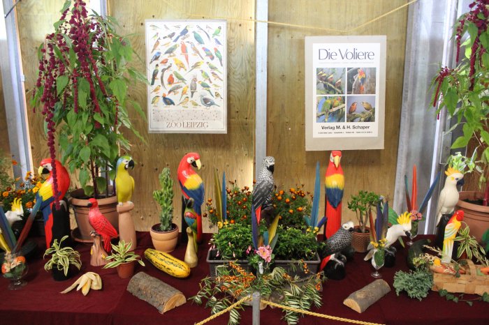 Vogelausstellung - Vögel ferner Länder – Bild 23