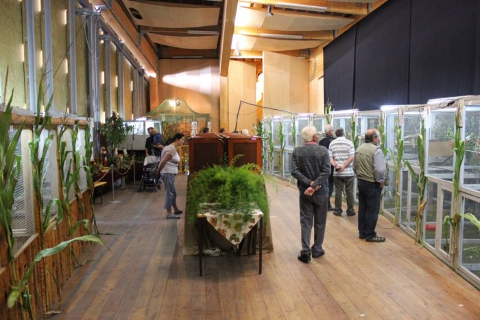 Vogelausstellung - Vögel ferner Länder – Bild 8